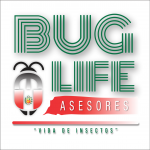 bug life logo