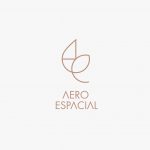 logo - Melina _Aeroespacial Salazar